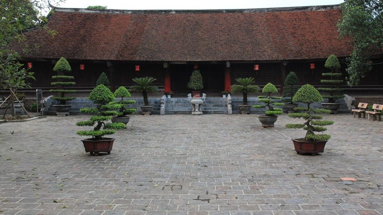 Bảy việc một dòng họ nên làm trong năm đầu tiên sau khi lập hội đồng gia tộc