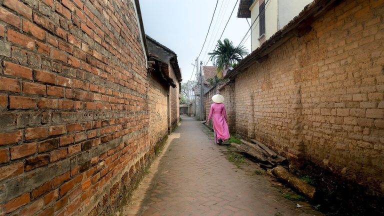 Làng cổ và dòng họ: những mái đình, giếng nước, cây đa