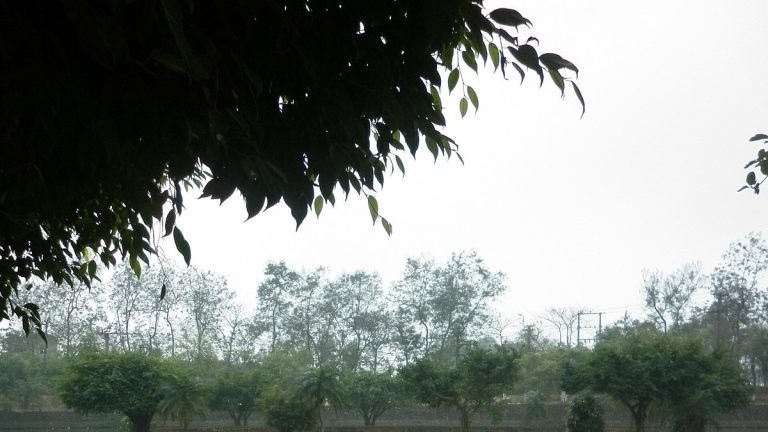 Trại hè con cháu trong họ: gắn kết thế hệ mới